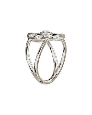 Daisy Light Or Blanc - Origine & Co