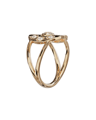 Daisy Light Or Rose - Origine & Co